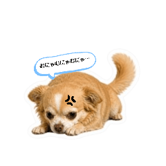 Tono's Silent Stamp 01