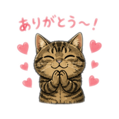 mitsumitsu_20260504081923