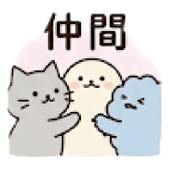 mii_20260504082409