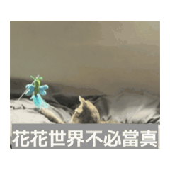 我們講話狠毒喵