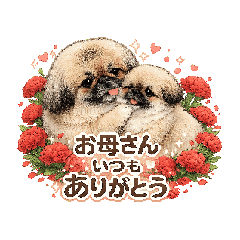 fujiyan8_20260505165103