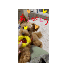 naoren_20260505172259