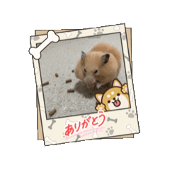 YU_20260505180936