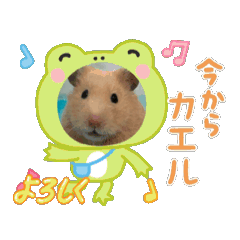 YU_20260505175620