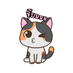 Tricolor_beancat