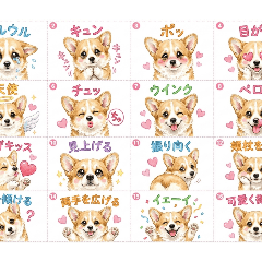 CORGISM_cute