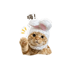 咻咪咪！