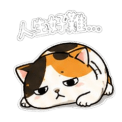 三花貓的廢萌人生