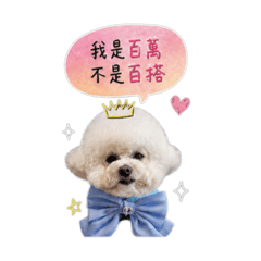 百萬說什麼
