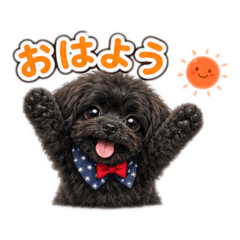 Rinka_20260503213646