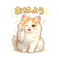 my cat omochi