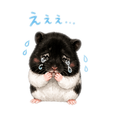 Naonao_20260503223122