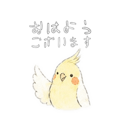 nacchy_20260503230044