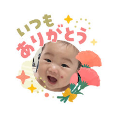 sei_20260503231536