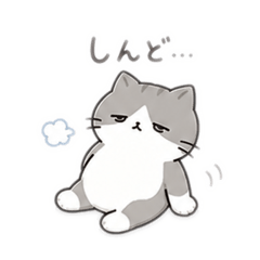 Lazy Cat Daily Talk