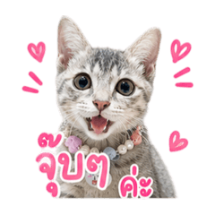 Mz_20260505205512
