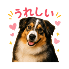 nanaho_20260504082537