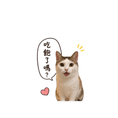 我是錢錢money來～