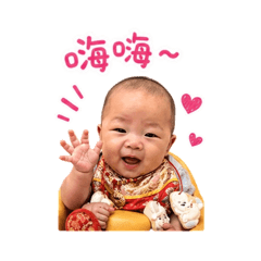 貢丸說你好～