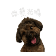 Lucky 專屬