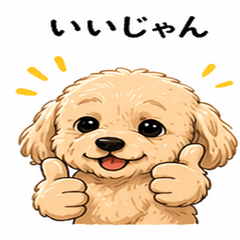 Keichan the Poodle