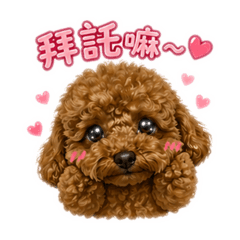 八逼妹妹