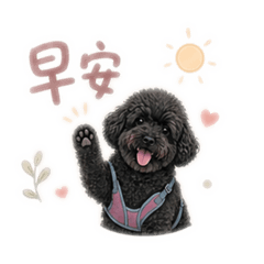 Q毛日常篇