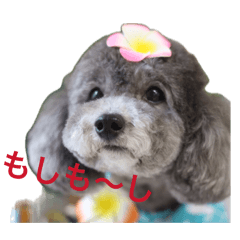todo_20260503233950