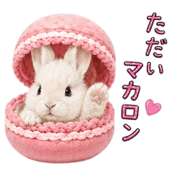 A rabbit with a pun