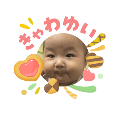 hal_20260503234227