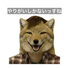 SpicyRamenBoy_20260503233404