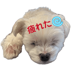 sumi bozu_20260503233737