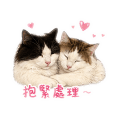 黑糖漢堡包1