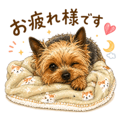 ryohei_20260503234311