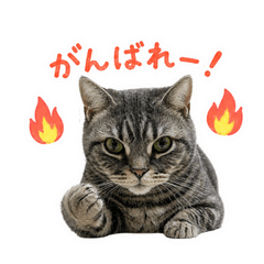 Momo the Cat Stickers