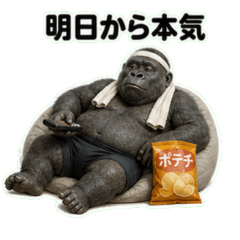 Beginner Workout Gorilla