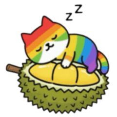 Rainbow Meaw love Tu riean