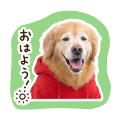 peanuts_20260504100032