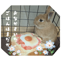 Kurumi_20260504100716