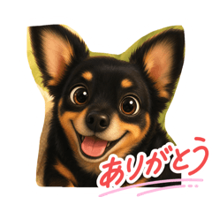 YYY_20260503235150