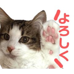 TAKUHIRO EHIRA_20260503234832