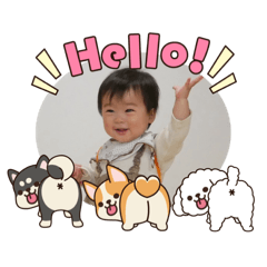 mibo_20260503235313