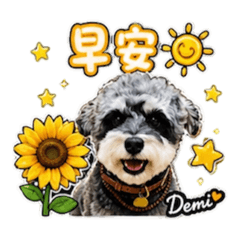 小撒狗