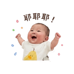 小蒼蠅手語老師