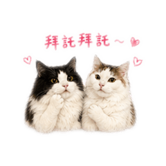 黑糖漢堡包2