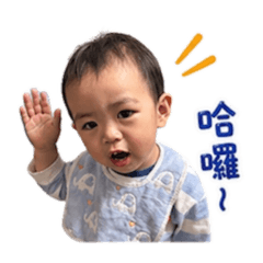 辰儒の貼圖