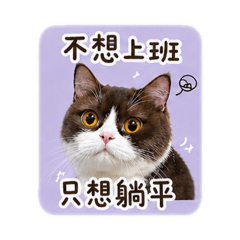章魚燒不想上班