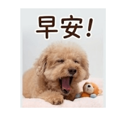 dog emoji 0108