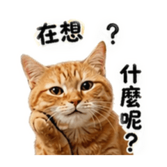 哈姆的姆搞笑版1