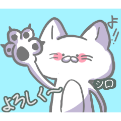 chia_20260504001129